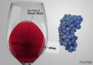 Pinot Noir, (c) Wine Folly